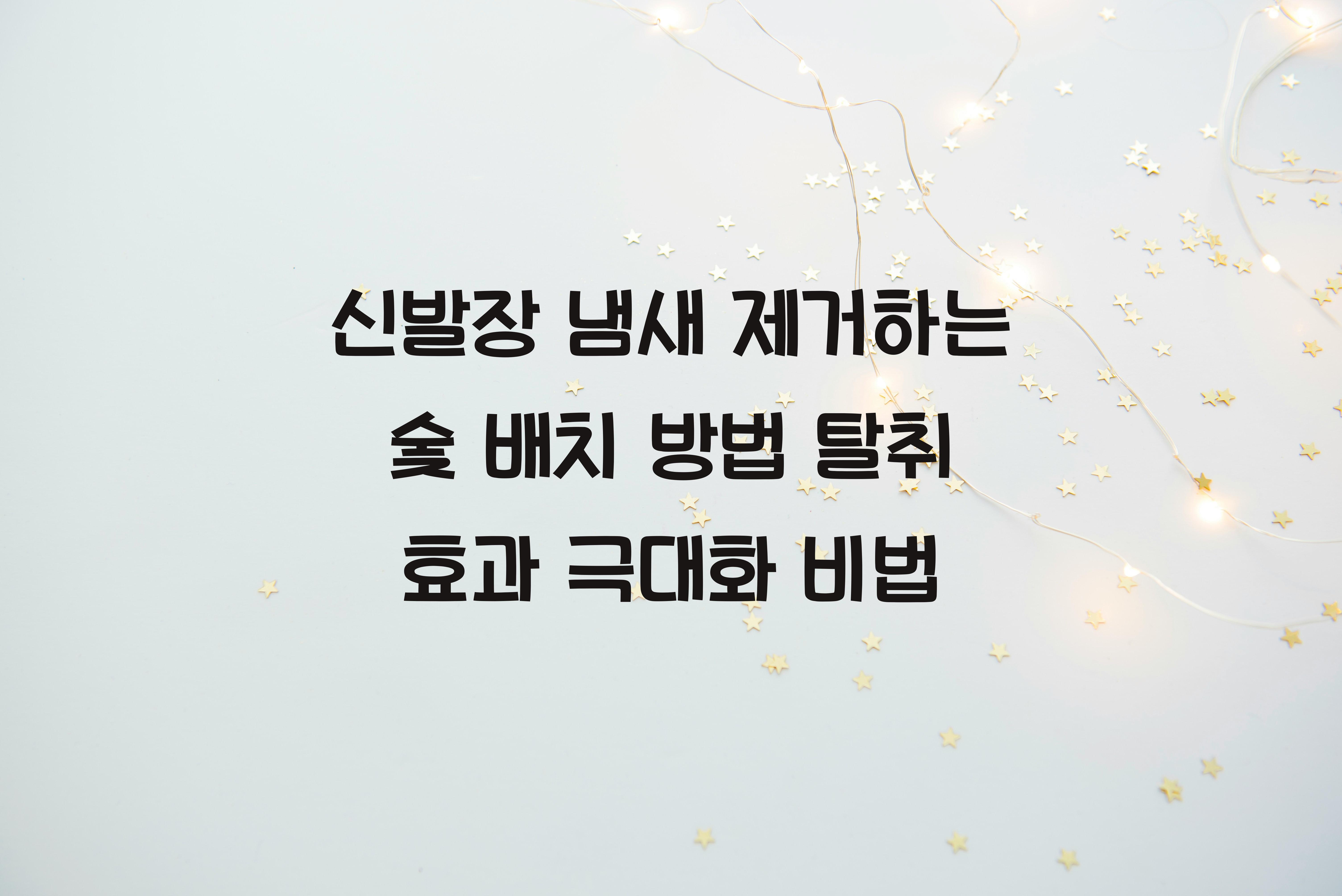 신발장 냄새 제거하는 숯 배치 방법