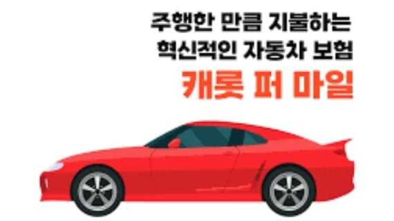 캐롯 퍼마일 다이렉트