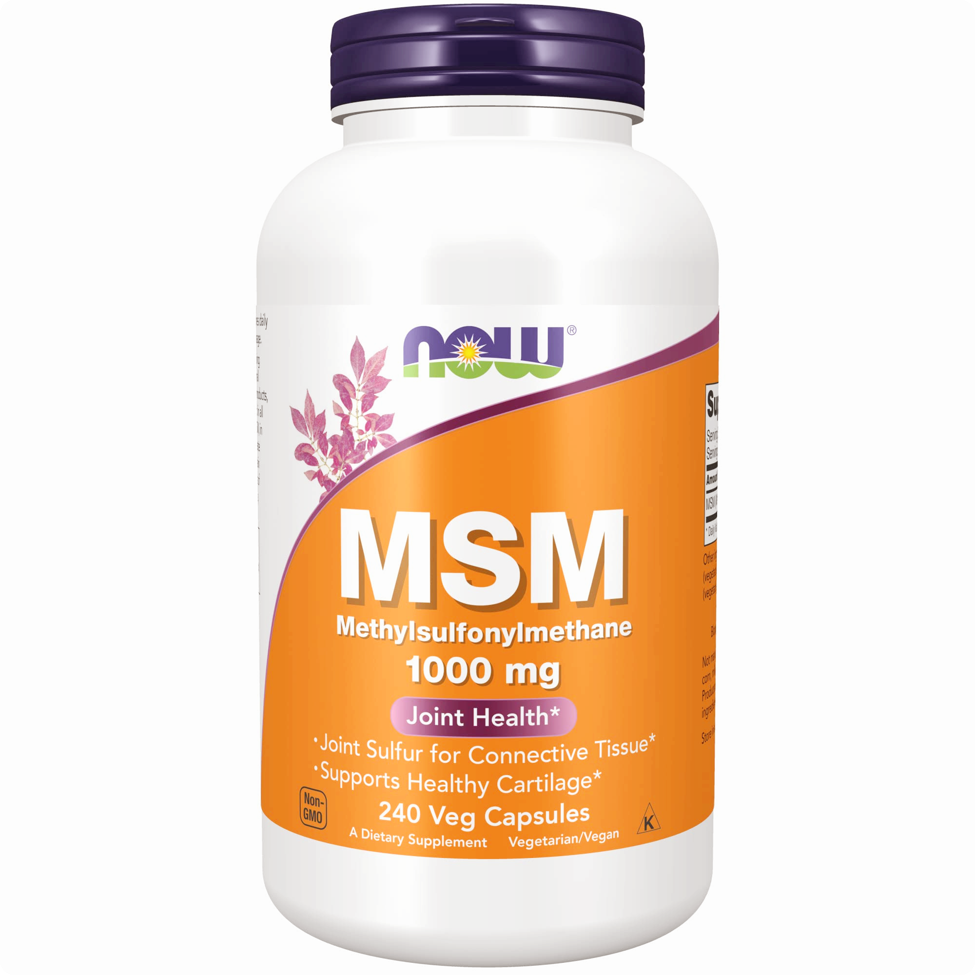msm의-효능