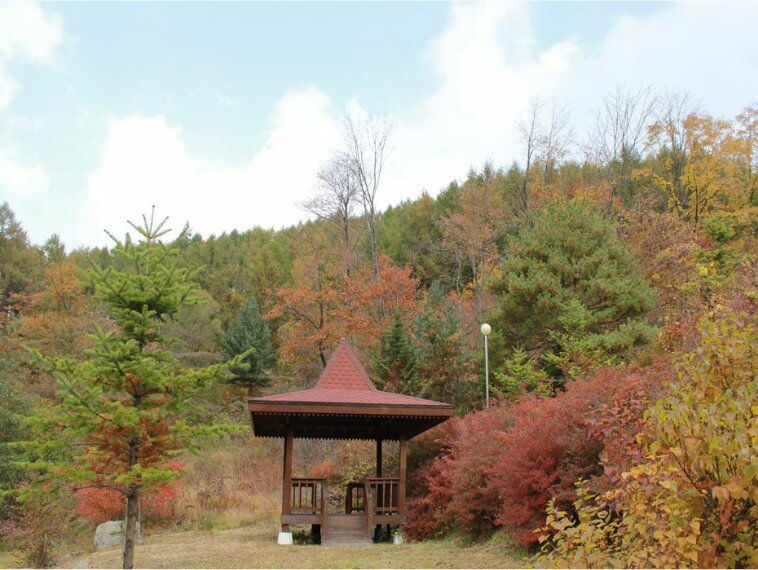 청태산자연휴양림 인도네시아관 정자