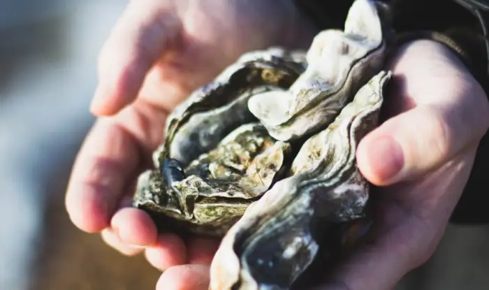 노로바이러스 증상