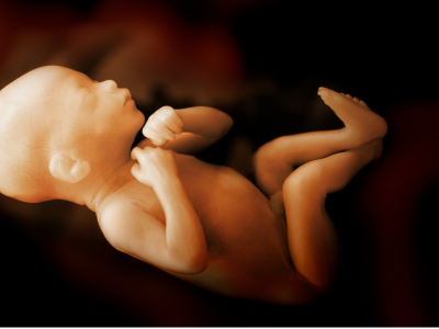 2025 새마을금고 아기뱀 적금 이자 계산 특판 적금 총정리