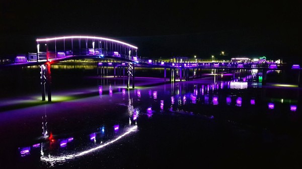 신안 퍼플섬 여행 가이드 - 보랏빛 낭만 속으로!