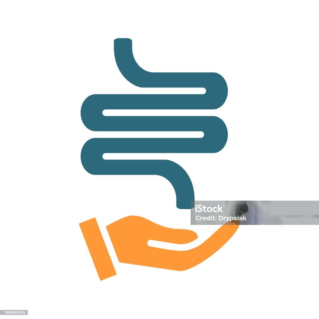 프로바이오틱스 vs 프리바이오틱스: 장 건강을 위한 두 개념의 차이와 활용법