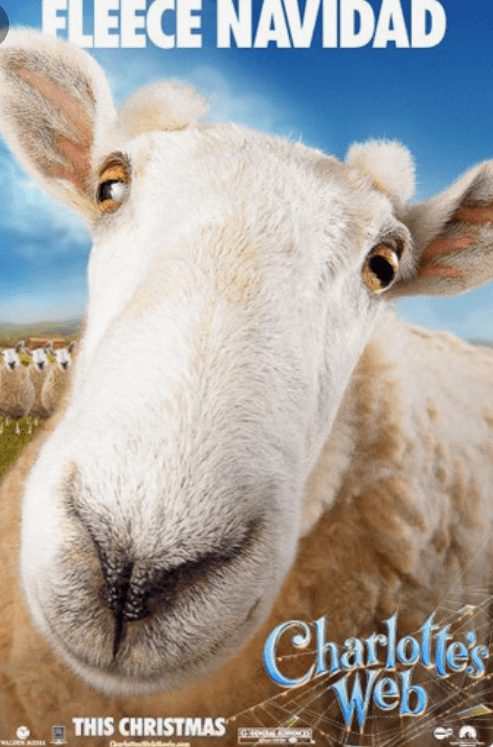 농장에 살고있는 동물 양의 사진