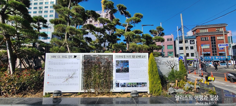 부산 켄트호텔 주변에 가볼만한 곳 광안리 공원