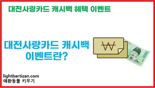 대전사랑카드 캐시백 혜택 이벤트