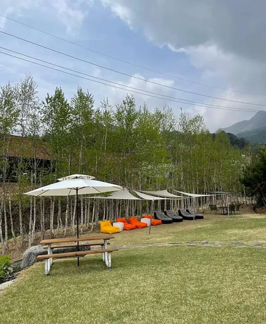 모아이카페