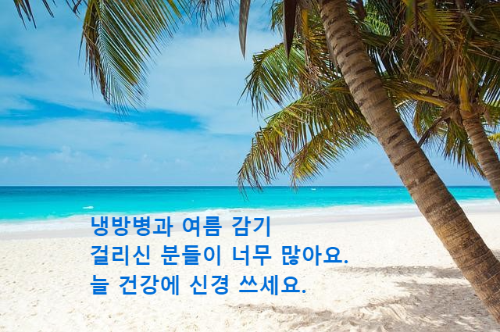 야자수 나무가 있는 해변 풍경