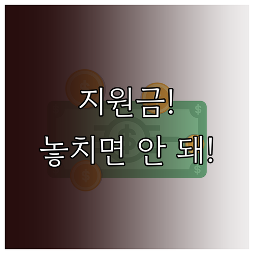 국민지원금 사용내역 놓쳤다면 카드 명..