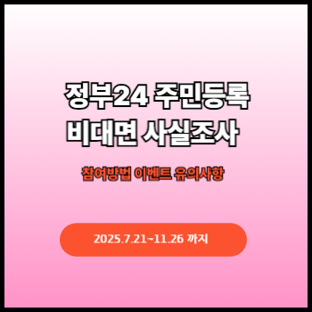 정부24비대면사실조사