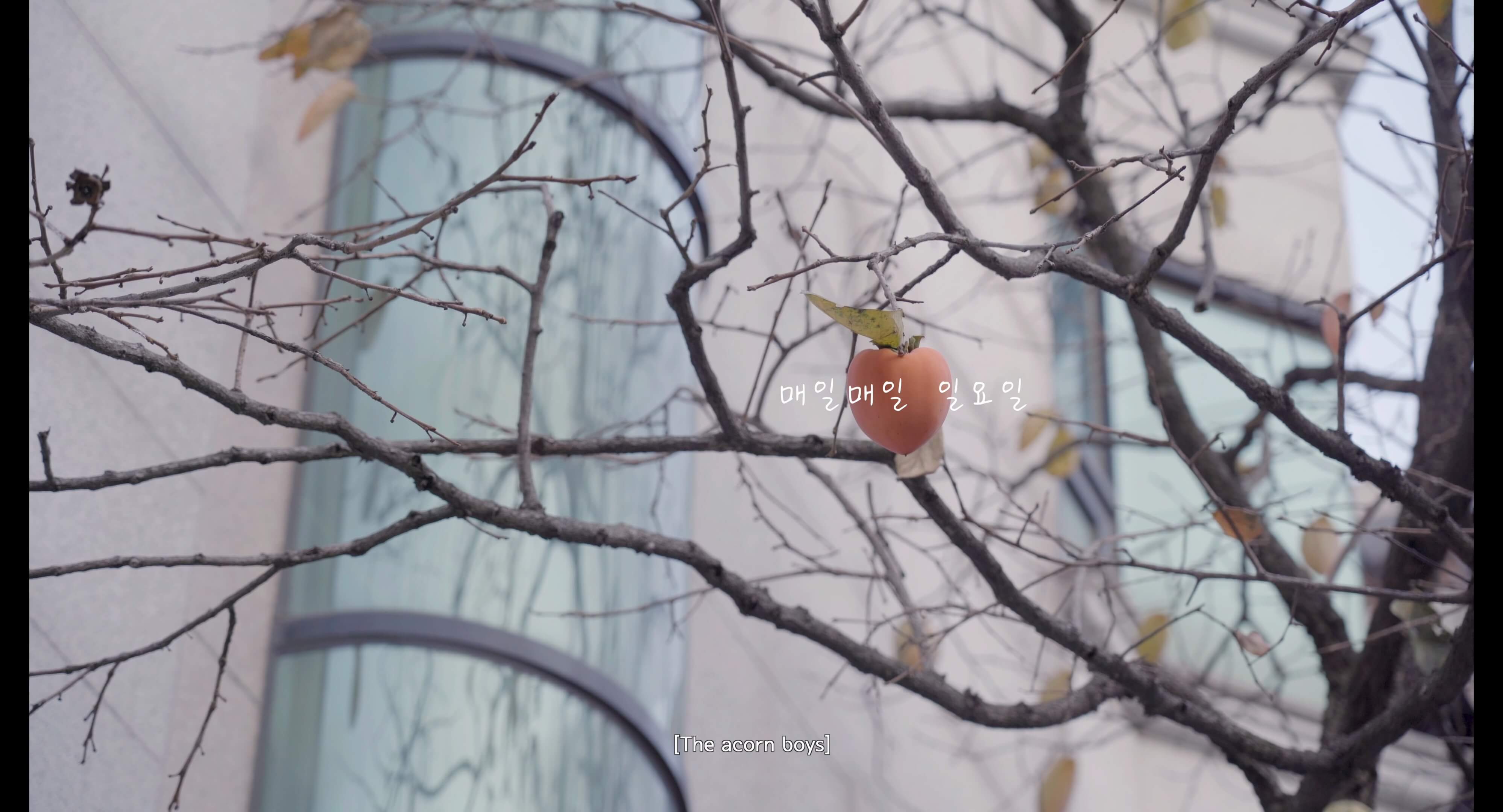 매일매일-일요일