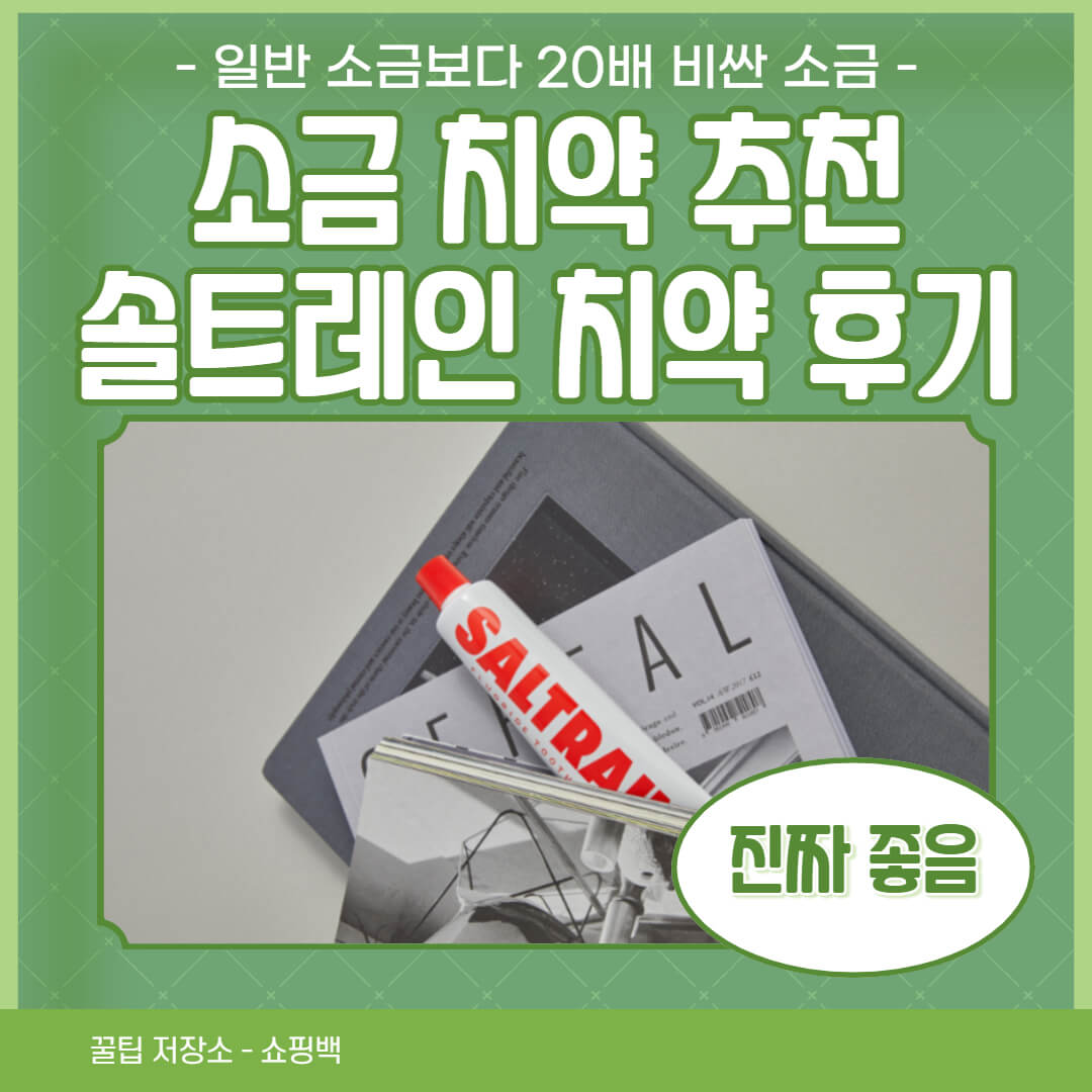 소금 치약 추천 후기 : 솔트레인 투스페이스트 가격 정보