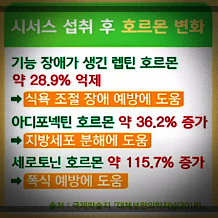 시서스-섭취-후-호르몬-변화