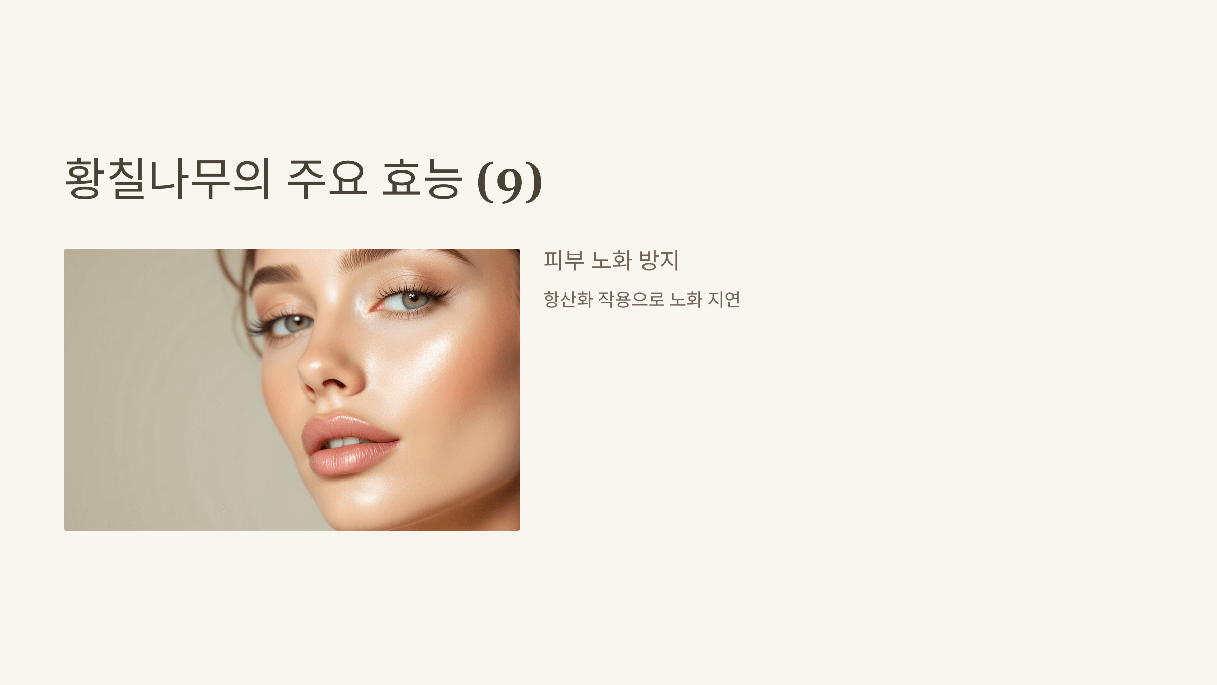 황칠나무 사진입니다.