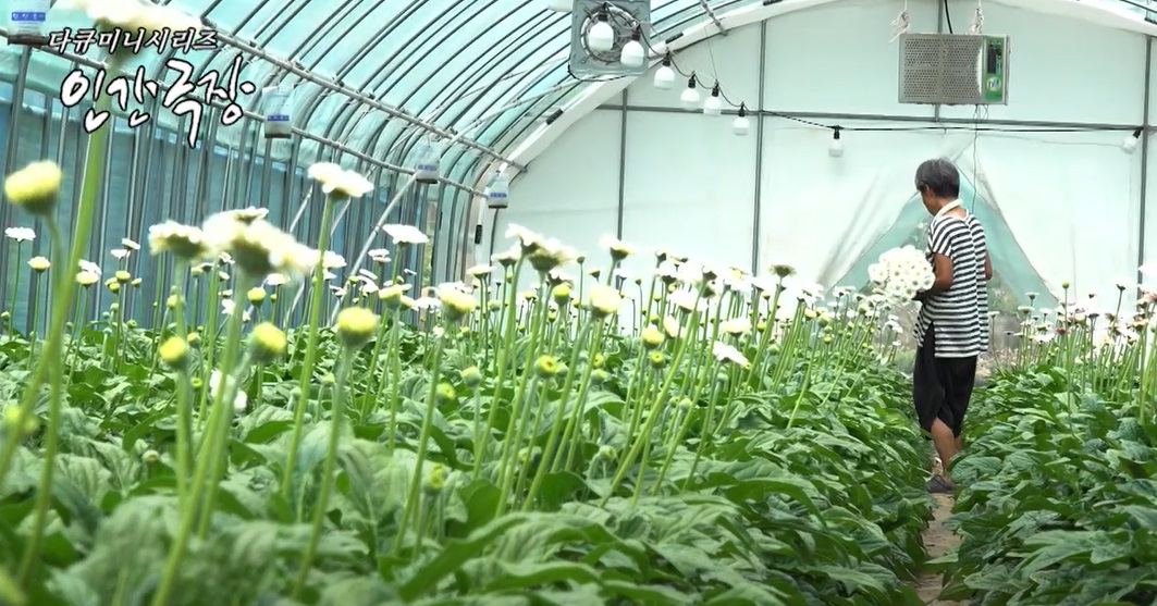 영천-정데레사-꽃농장