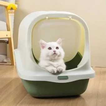 고양이 화장실 크기 대형 자동화장실 추천_10