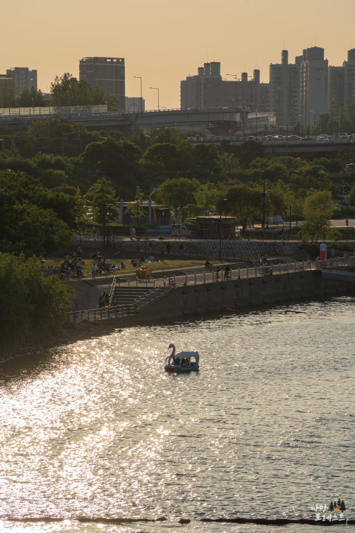 선유도공원 한강 윤슬