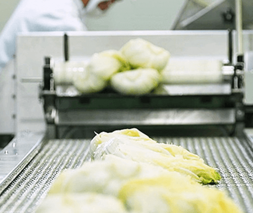 해남 절임배추 20kg 사전예약 가격비교