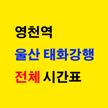 영천역에서 울산 태화강행 ITX 마음 무궁화 누리로 기차 시간표