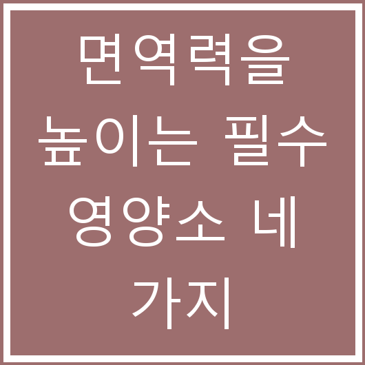 면역력을 높이는 필수 영양소 네 가지