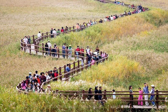 순천만 습지 용산전망대
