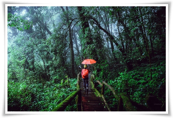 웰빙 "2025년 장마" 폭염과 폭우? 기상청 전망부터 대비까지 총 정리!