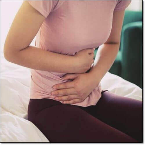 천마 소화기 건강