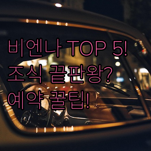 비엔나 호텔 추천 베스트 5 위치 스..