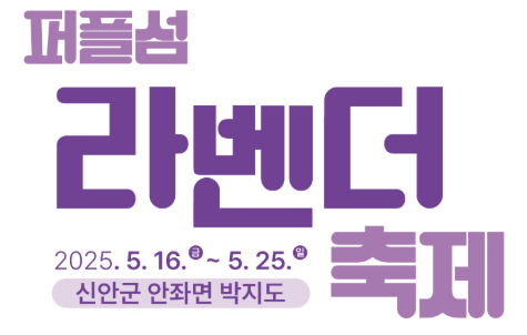 2025 퍼플섬 라벤더 축제