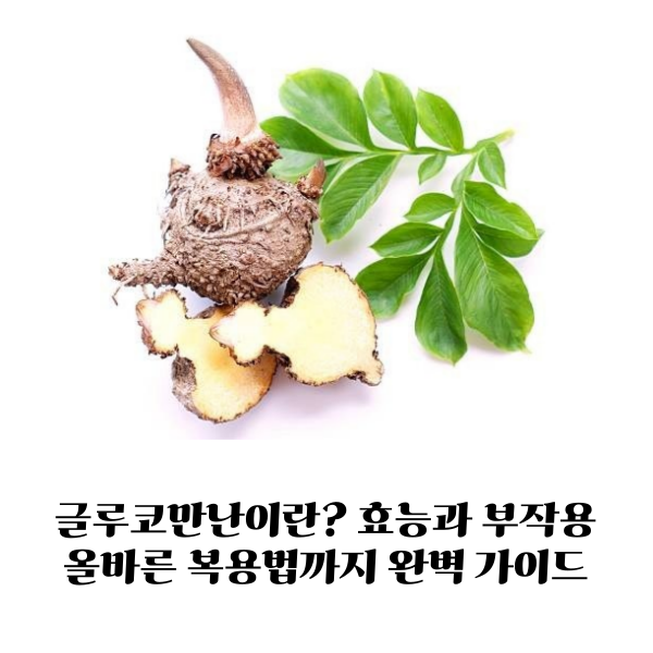 글루코만난이란 효능과 부작용, 올바른 복용법까지 완벽 가이드