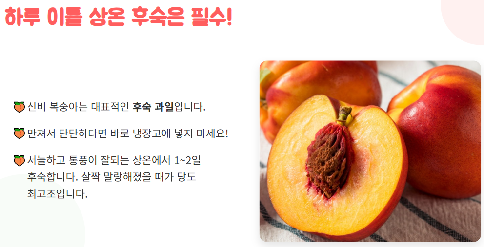 신비 복숭아 수확시기