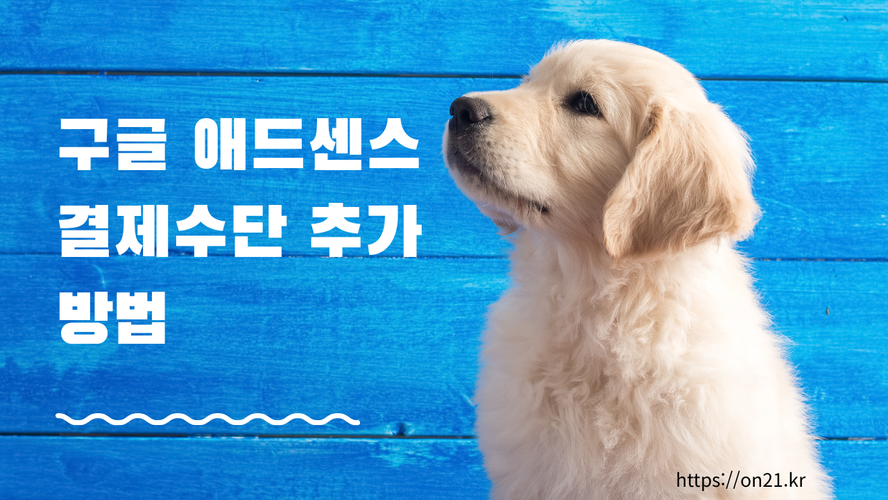 구글 애드센스 결제수단 추가 방법