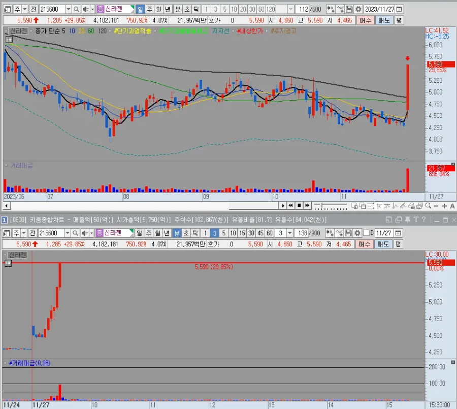 신라젠 일봉 및 분봉