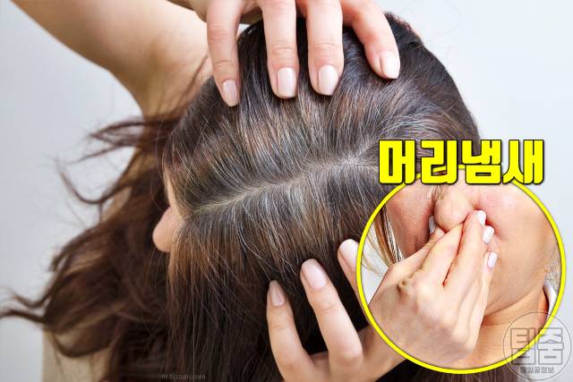 머리냄새 원인 머리냄새없애는법