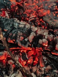 나무가-전부-타서-빨간-참나무-숯이-되어있는-사진