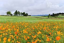 고창 학원농장 &ndash; &lsquo;폭싹 속았수다&rsquo; 촬영지 정보
