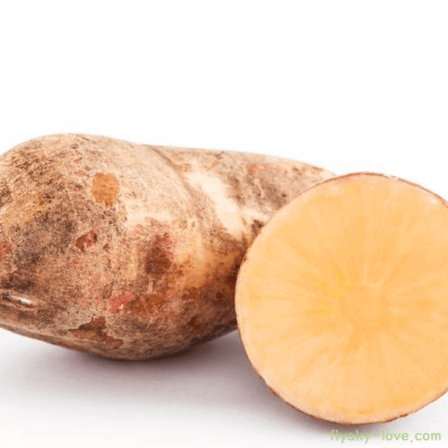 당뇨에 효과적인 야콘