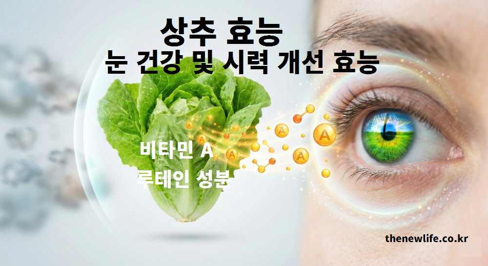 비타민A와 루테인 성분이 풍부하여 안구 건조증 예방과 시력 개선에 도움을 주는 상추 효능