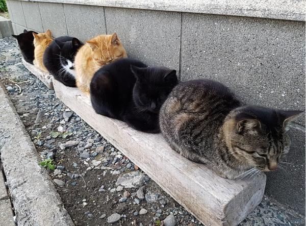 후쿠오카 3박 4일 여행 코스 완성