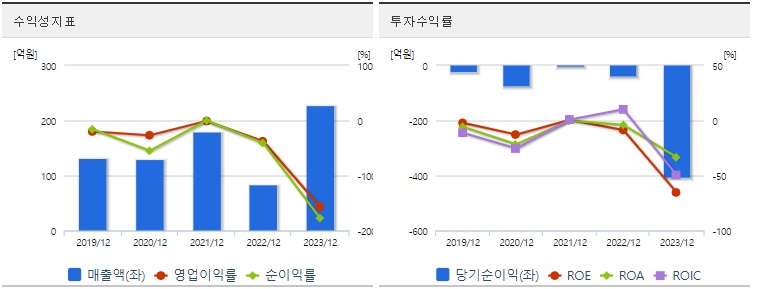 하이드로리튬 주가 수익성