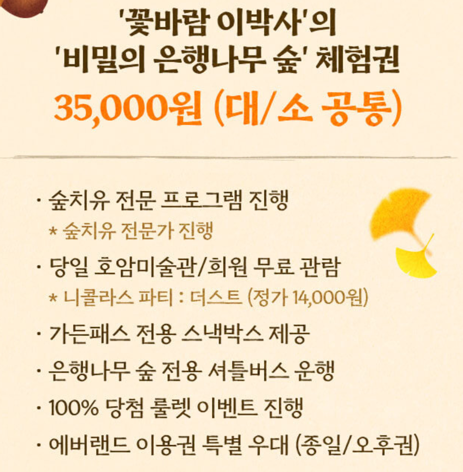 에버랜드 비밀의 은행나무숲 산책 프로그램 혜택