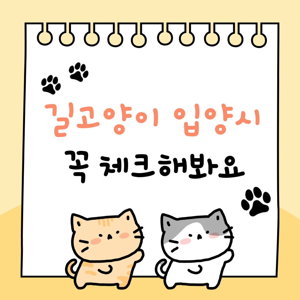 길고양이 입양 펫샵과는 다르게 접근