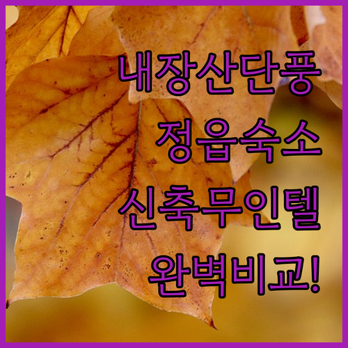 내장산 단풍 여행 정읍 숙소 추천 신..