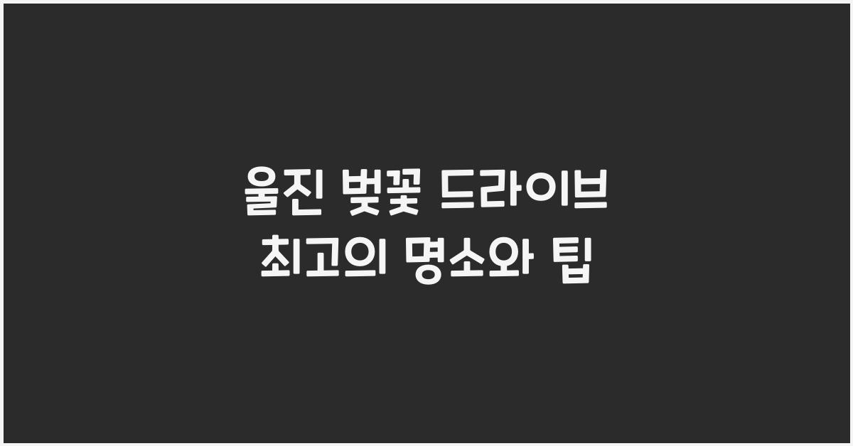 울진 벚꽃 드라이브