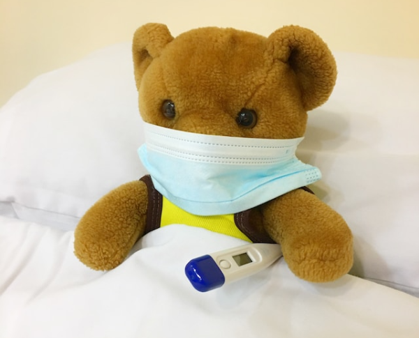 마스크를 착용한 곰돌이
