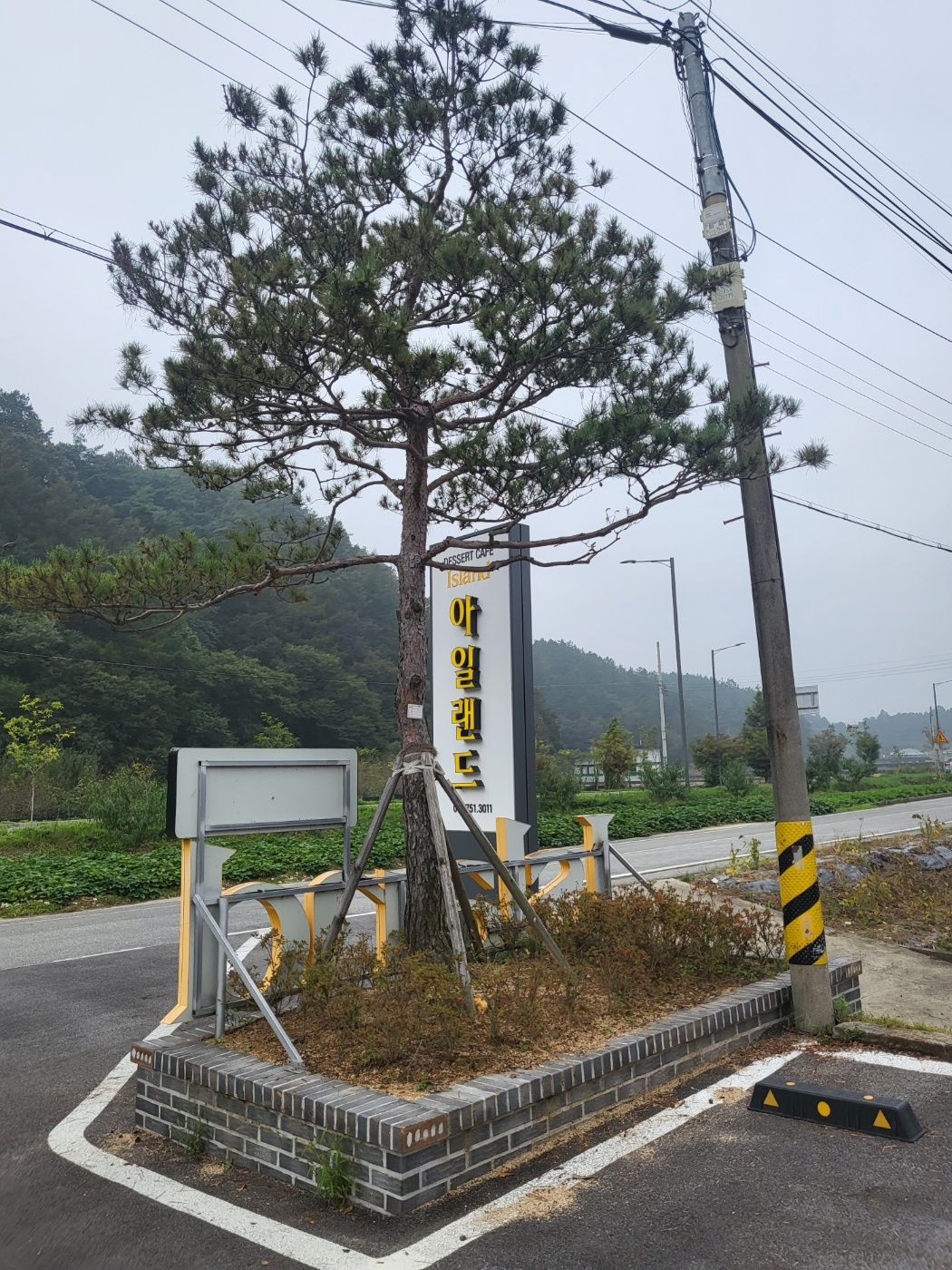 금산 대형 카페(아일랜드 금산) 