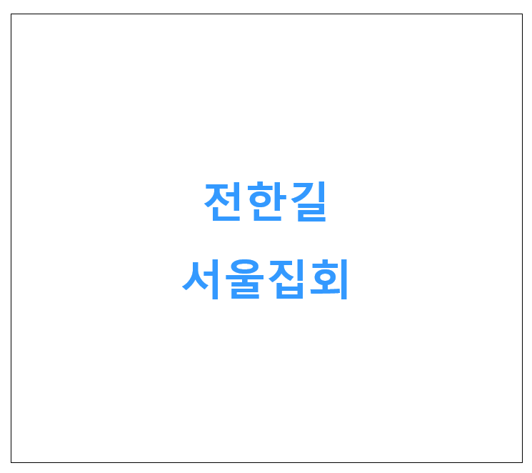 전한길 서울집회