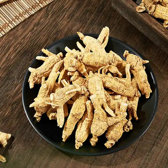 사포닌 체중감량