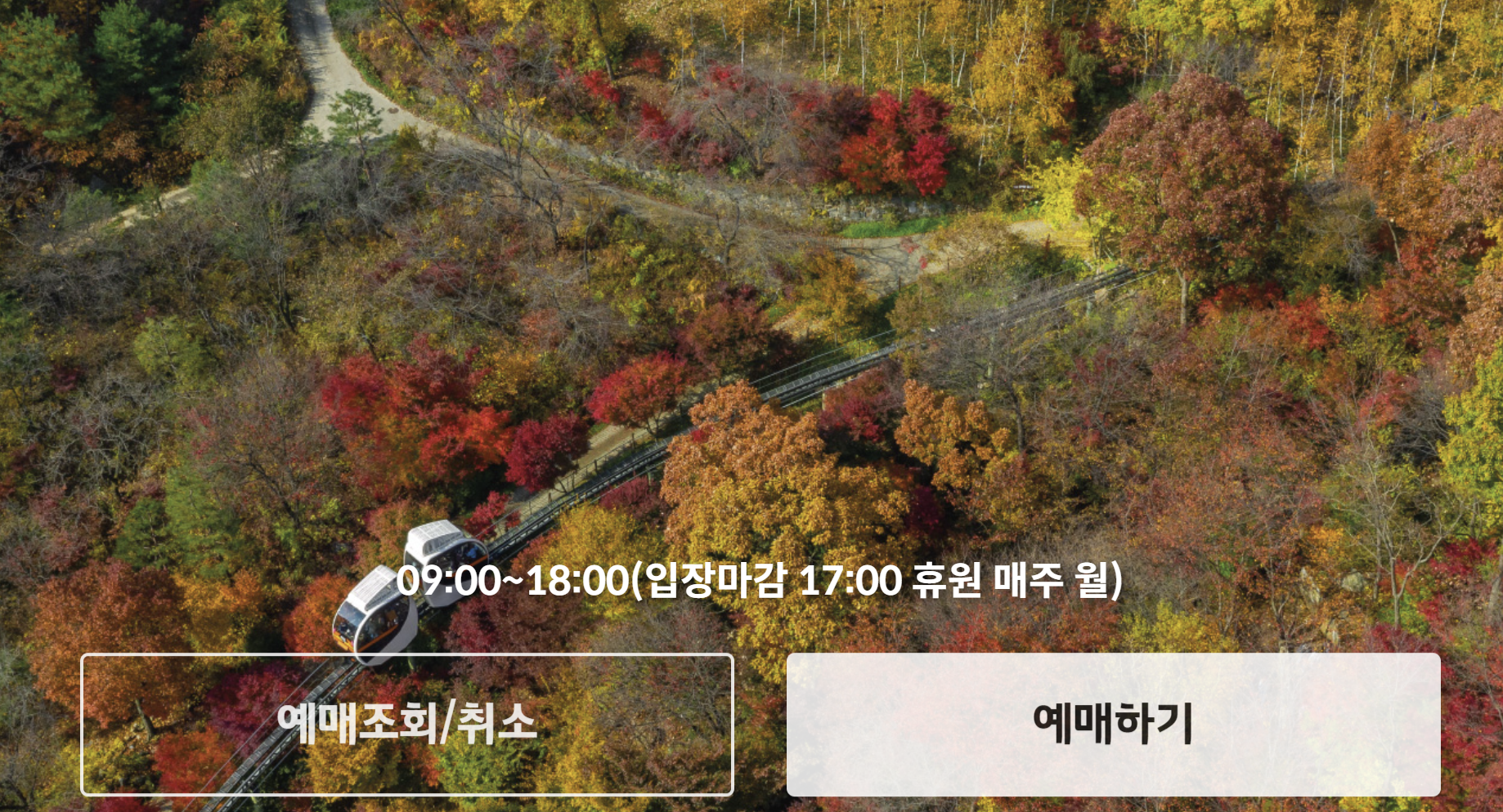 화담숲 홈페이지 예약 및 예약방법, 단풍 절정시기 입장료 안내